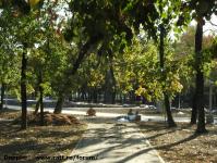 Imagine atasata: Parcul Central - 2018.10.07 - 06.jpg